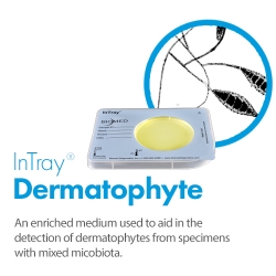 IT-Dermatophyte