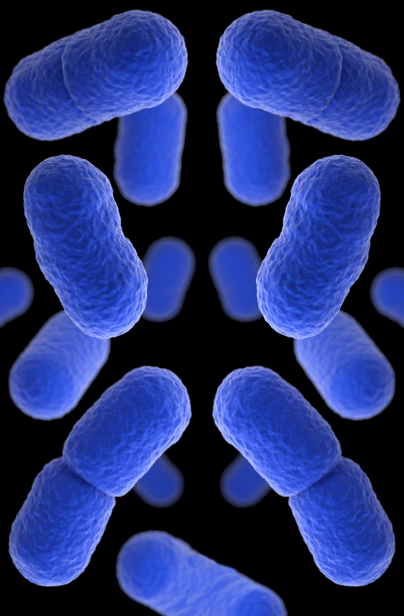 listeria-bacteria-characteristics