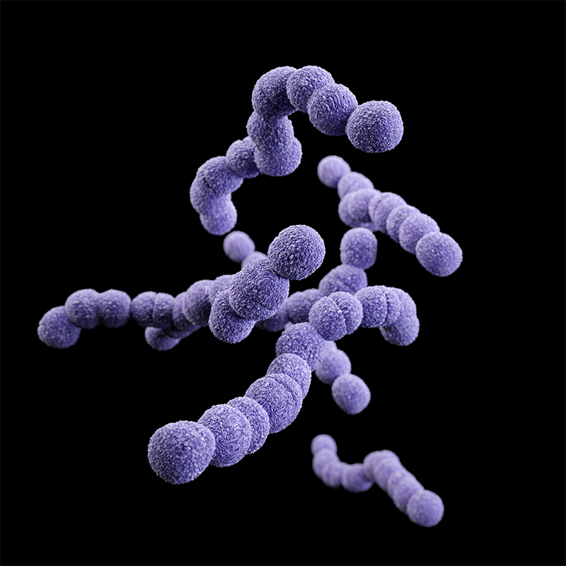 InTray® COLOREX™ GBS | BioMed