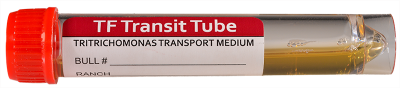 tf-transit-tube-header_image-2019-10-18-224314@2x.png